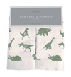 Granite Green Dinosaurs Cotton Newcastle Blankie