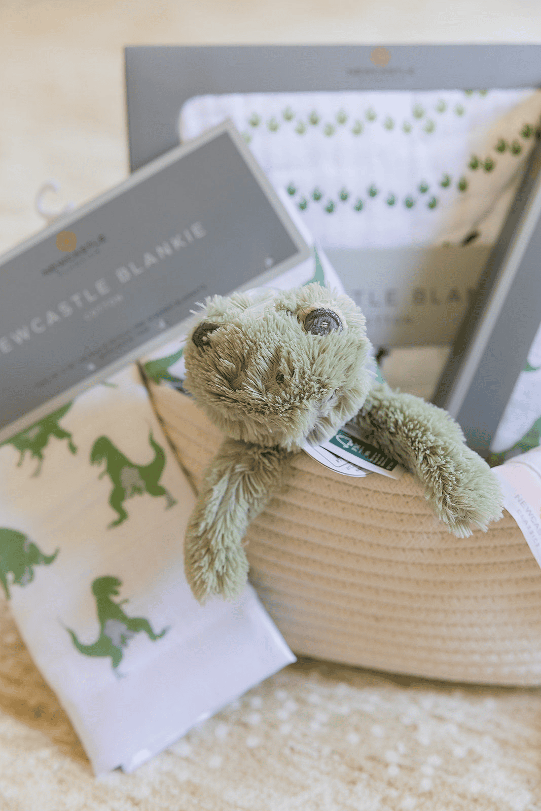 Welcome Baby Boy - Dinosaur Gift Basket