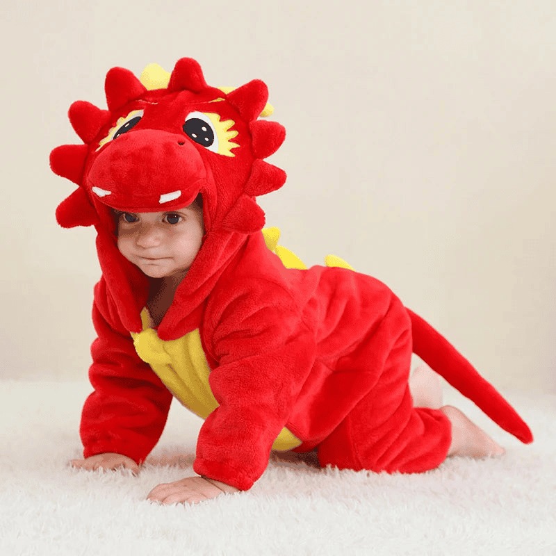 Multivariant Disguise Costume for Children from 2 to 36 Months