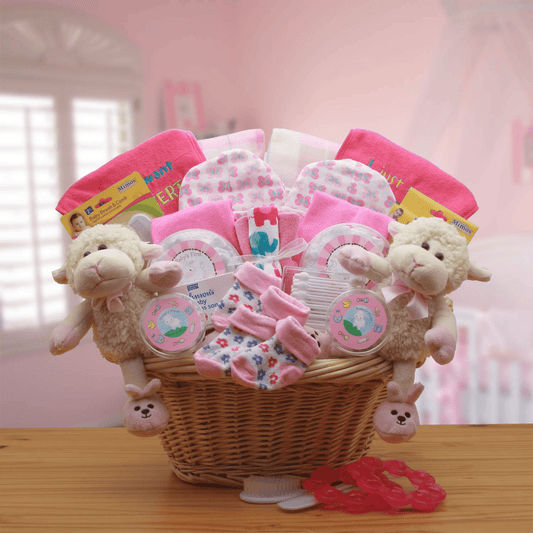 Double Blossom Twins Baby Gift Basket – Pink Edition 🌸👶👶 | Perfect Baby Shower & Newborn Gift!