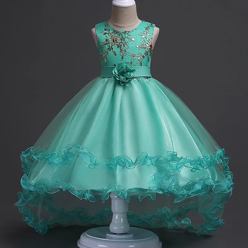 Enchanting Embroidery: Baby Girls' Princess Flower Tutu Dress