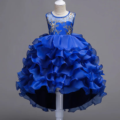 Enchanting Embroidery: Baby Girls' Princess Flower Tutu Dress