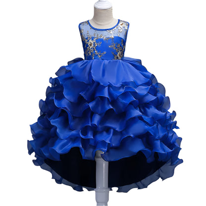 Enchanting Embroidery: Baby Girls' Princess Flower Tutu Dress