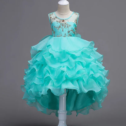 Enchanting Embroidery: Baby Girls' Princess Flower Tutu Dress