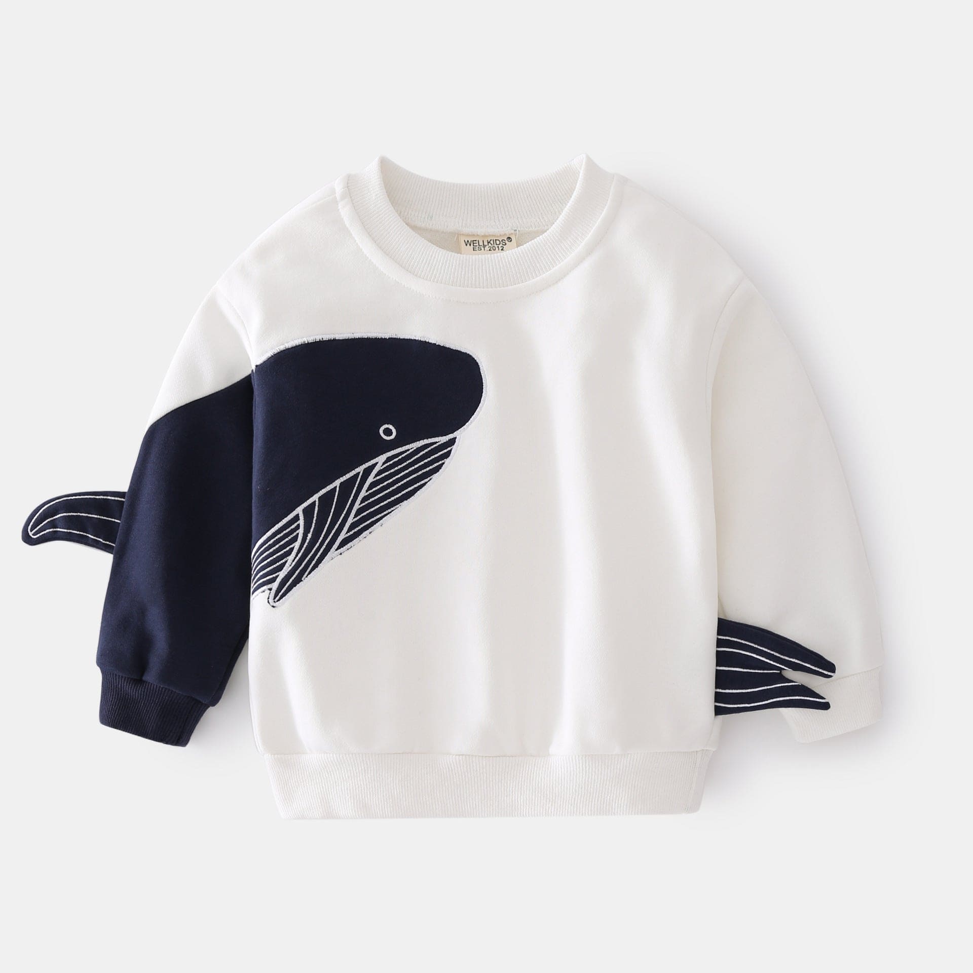 Chill Chic: Boys' Casual Sweaters - The Little Big Store