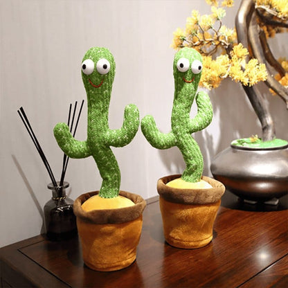 Lively & Lovably Huggable: Lovely Talking - Dancing Cactus - The Little Big Store