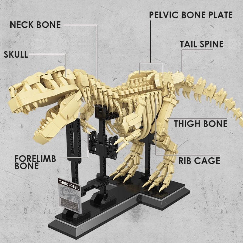 T-rex Dinosaurs Fossil Building Blocks - The Little Big Store